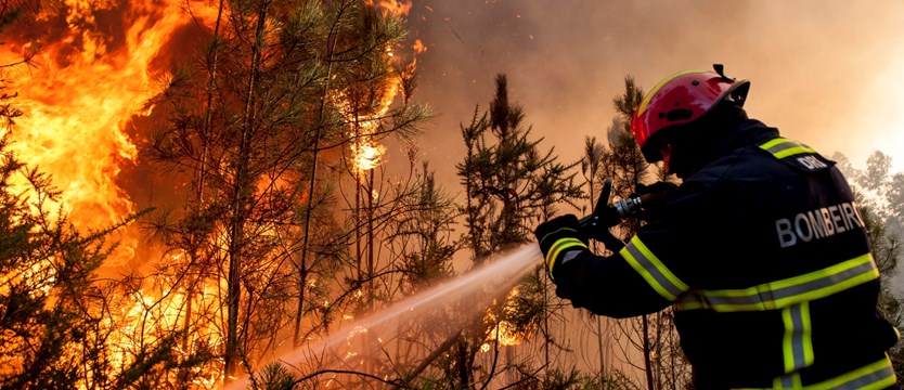 Dziesiątki tysięcy hektarów spłonęło