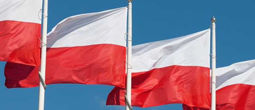 Polska jako największy kraj regionu