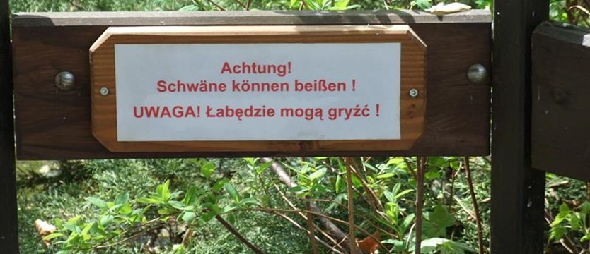 Niemieckie zoo po polsku