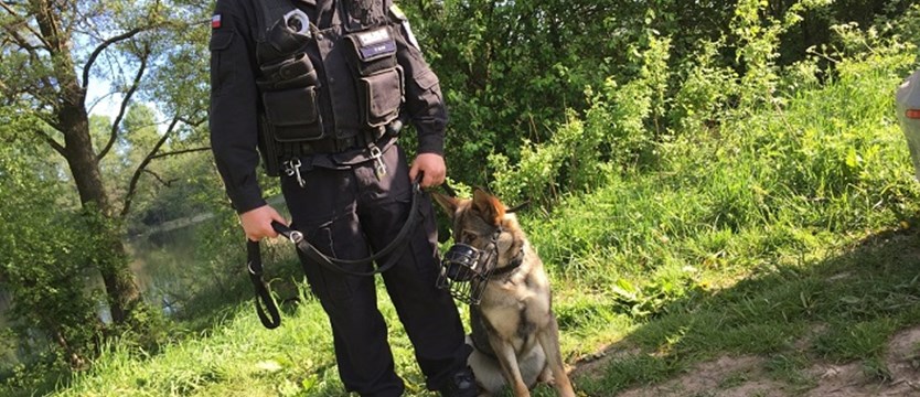 Pies policyjny odnalazł 36-letnią kobietę