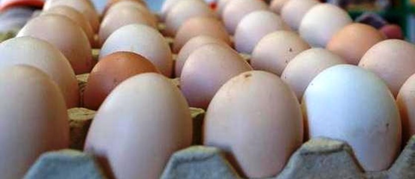 Fipronil w jajach z trzech polskich ferm