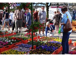 Kolory, kwiaty, gwar i ruch – czyli szczecińskie „Miasto Ogród”