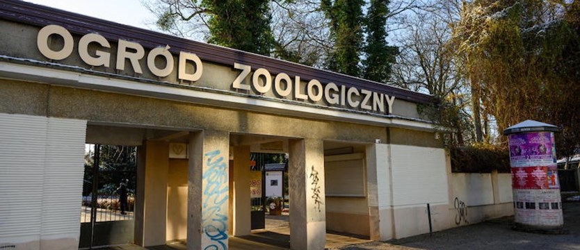 Dyrektorka poznańskiego zoo zatrzymana m.in. za oszustwa i nadużycie uprawnień