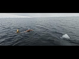 Pływak Leszek Naziemiec szykuje się do wyprawy na Alaskę