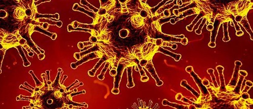 W sobotę w kraju odnotowano 31331 nowych zakażeń wirusem SARS-CoV-2. Zmarły 333 osoby