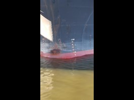 Statek „Dino” pobił rekord zanurzenia szczecińskiego portu
