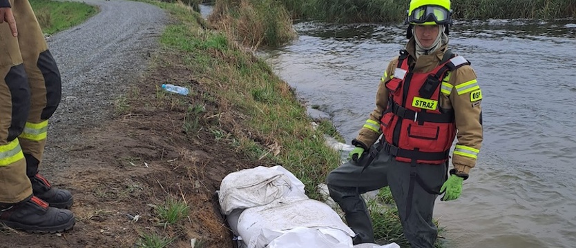 Wysoka woda w Dąbiu i Zalewie Szczecińskim. Strażacy umacniali wał