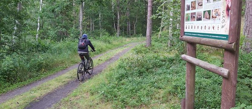 Powstanie szlak dla rowerzystów ze Świnoujścia do Międzyzdrojów