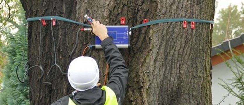Testy obciążeniowe i tomograf dla drzew