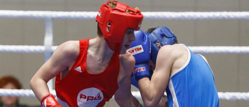 Boks. Bezdomny Skorpion