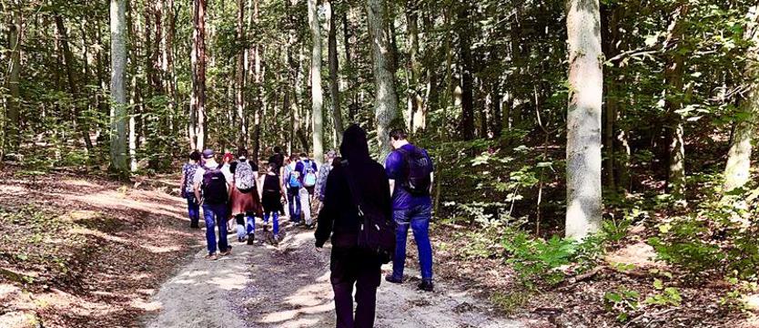 To więcej niż zwyczajny spacer po lesie. Cisza, widoki, zapach, dotyk, smak…