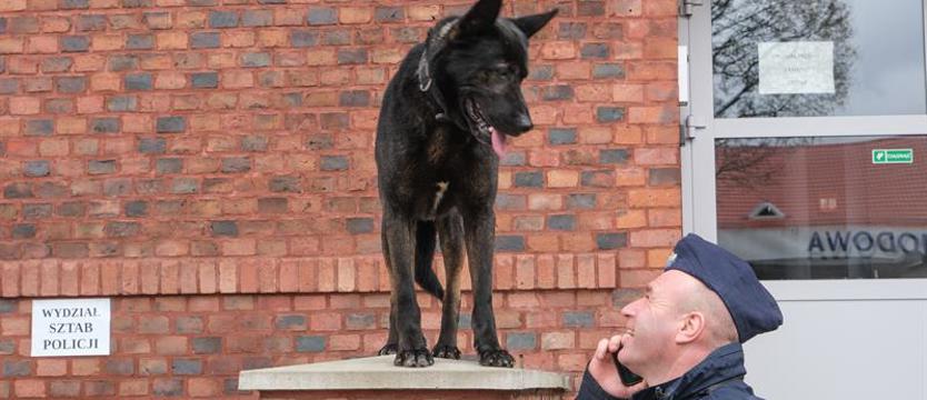 Policja zachęca do pracy. Dzień otwarty w KMP