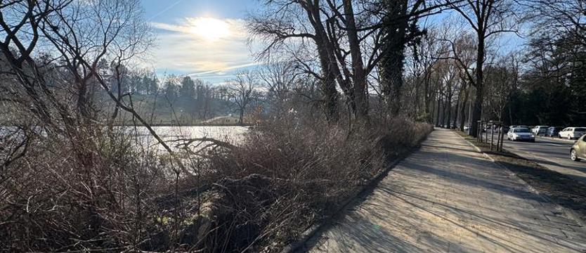 Czytelnik: „mała rzecz, a cieszy". Uwalnianie parku