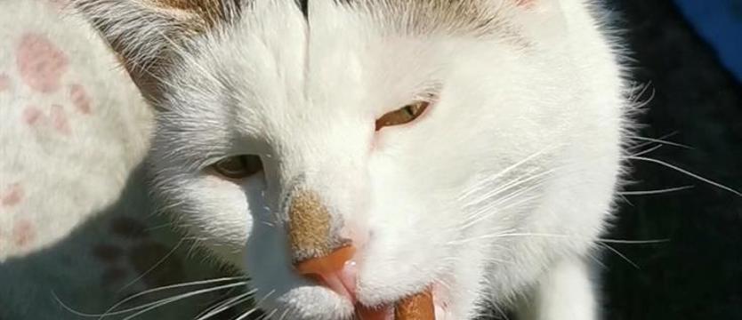 Weź mnie KURIEREM do domu. Lenka na lepszy czas