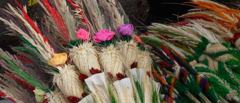 Niedziela Palmowa otwiera w Kościele Wielki Tydzień