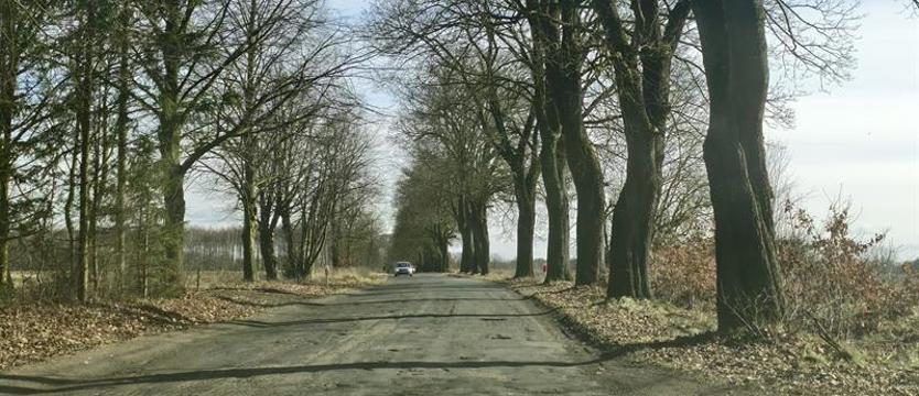 Kierowcy: „To jak tor przeszkód” 