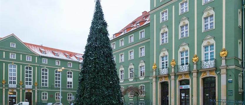 Przed szczecińskim magistratem rozbłyśnie choinka