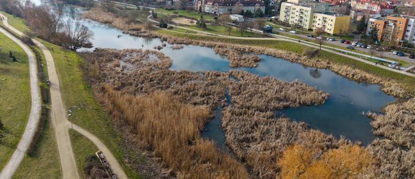 ZUT ma hektary w Ostoi. Od rolnej ziemi do strefy handlowej?