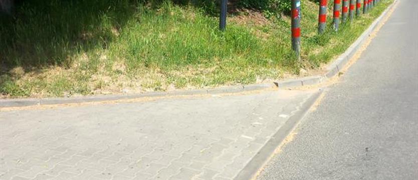 Kto zbuduje chodnik przy ulicy Pszczelnej?