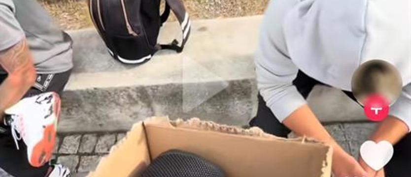 Upokarza ludzi, bezdomnym rozdaje alkohol. Interweniują w sprawie patostreamera ze Szczecina