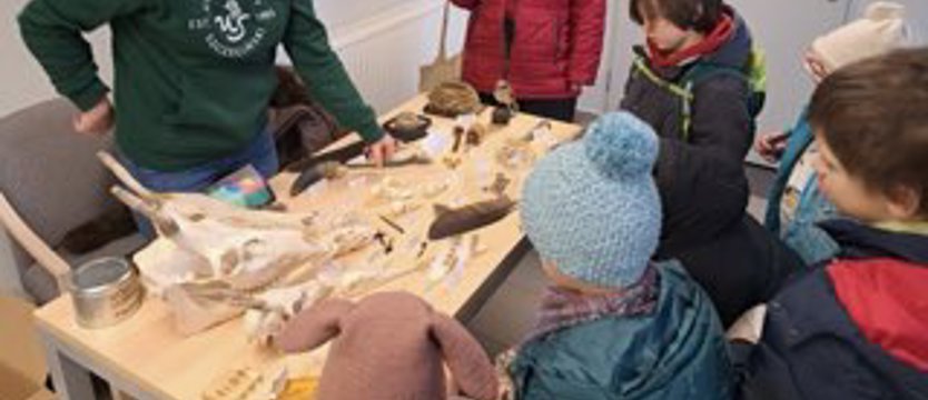 Na przyrodniczym tropie. Noc Biologów na Uniwersytecie Szczecińskim