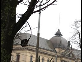 Warszawiacy policzyli Szczecinowi drzewa. PESEL-e na pniach w centrum