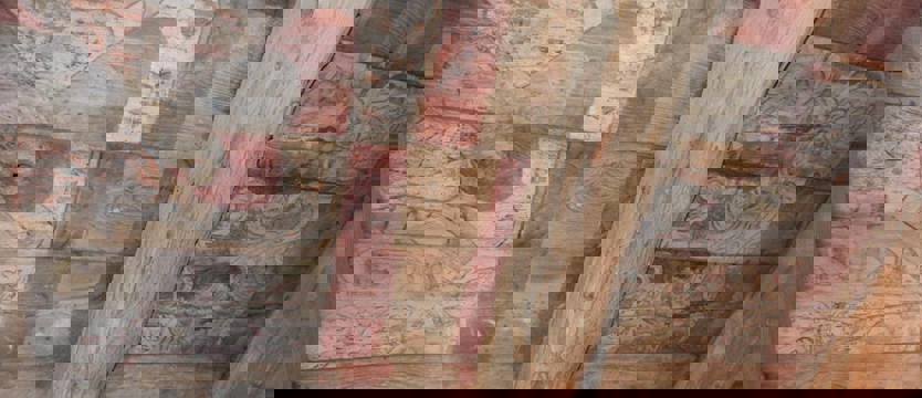 Sensacyjne odkrycie w Górnowie