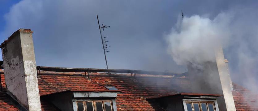 Zatruwani w majestacie prawa