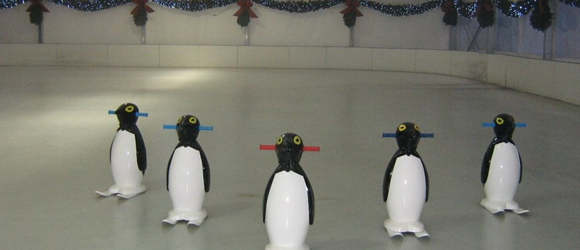 Pingwin pilnie poszukiwany!