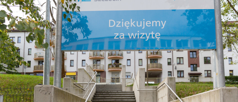 Gil wije sobie gniazdo