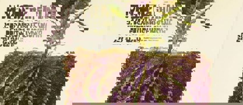 Młodzi i Film – Blisko 70 debiutów