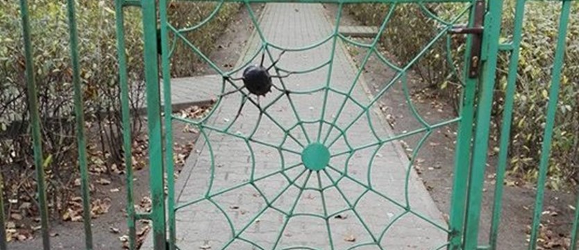Podwórka pilnuje pająk