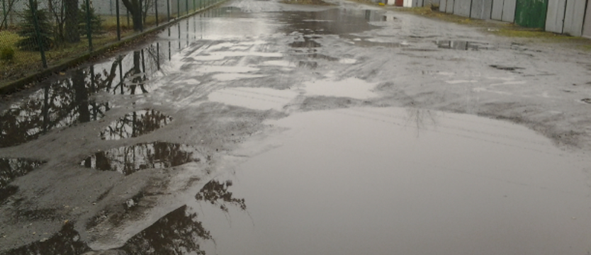 Rydla, czyli szczeciński Floating Garden