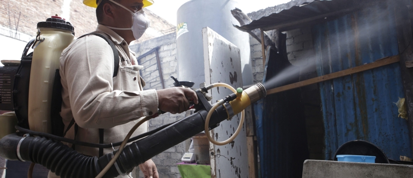 Czy wirus Zika zagraża Europie?