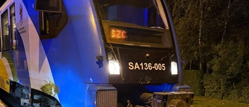 Zderzenie pociągu ze stadem żubrów. Jeden nie przeżył