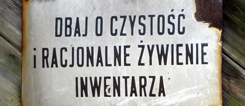 Czar starej tabliczki