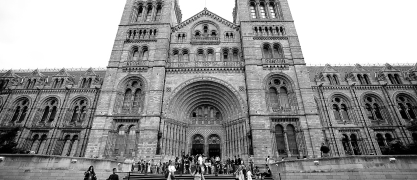 Ś jak ślub, czyli Anglik idzie do ołtarza