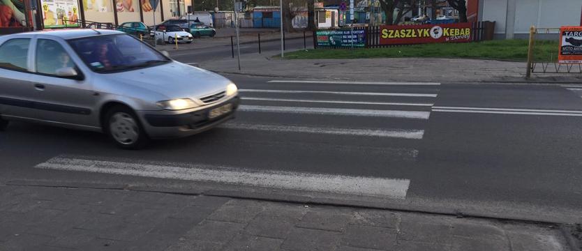 Zebr w Dąbiu nie widać