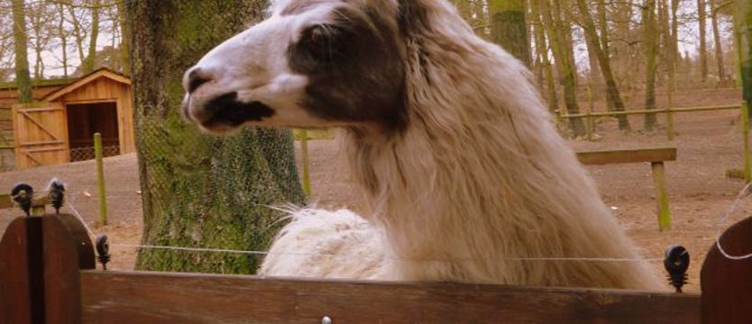 Wiersz: Byli tam dłużej niż sekundę