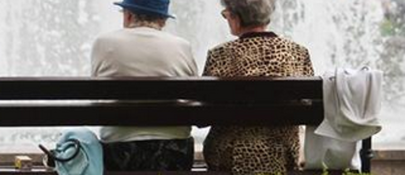 Zostań babcią, zostań dziadkiem
