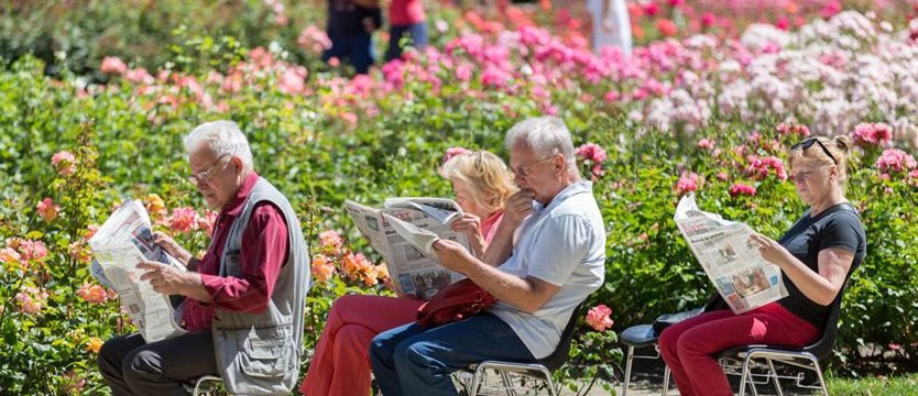 Różanka. Przeboje w ogrodzie