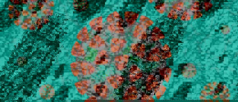 MZ: 27 875 nowych zakażeń koronawirusem - najwięcej od początku epidemii; 349 osób zmarło