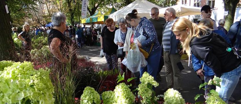 Wały Chrobrego: kiermaszowy zawrót głowy. Feeria kolorów, kwiatów i smaków