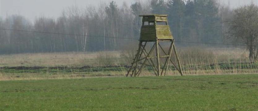 Zadziwiająca sytuacja w szczecińskim kole „Bażant”. Kłębowisko niekompetencji i złych emocji?