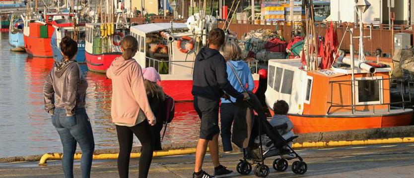 Rybacy łodziowi nie wierzą w morświna. Zakaz połowów bez rekompensat