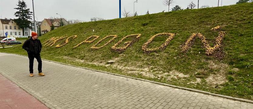 Kwitnąca (krokusami) Pogoń