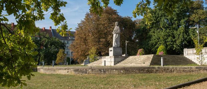 Śladem niezwykłych drzew. Kolejny spacer z rozpoznawaniem drzew i krzewów