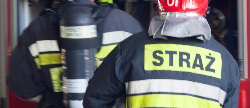 Strażacy uratowali suczkę z płonącego mieszkania