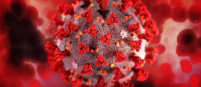 W niedzielę w kraju ponad 20 tysięcy nowych zakażeń koronawirusem