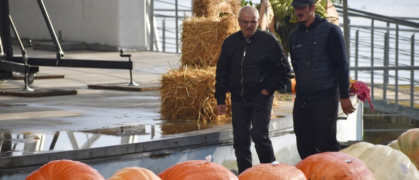 Złota Dynia nad Miedwiem. Największą przywieziono z Dobrzan